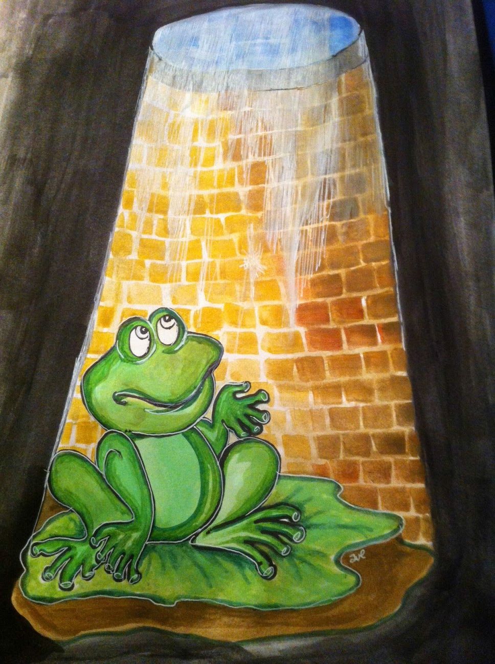 The Frog In The Well 
