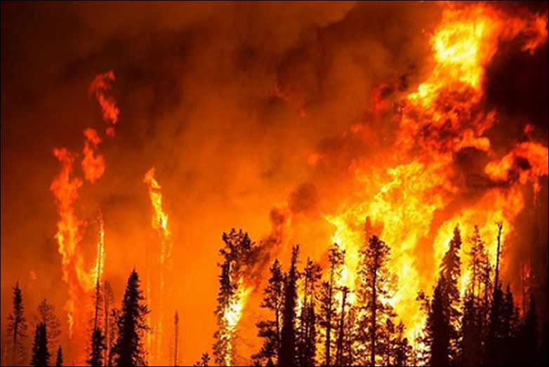 Massive forest fire in Qazigund – Kashmir Reader